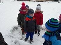 20170206 112456  IICSA���II