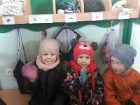 20170216 110050  IICSA���II