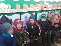 20170216 110108  IICSA���II