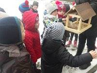 20170217 113152  IICSA���II