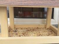 20170217 113221  IICSA���II