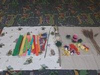 20170404 093430  IICSA���II