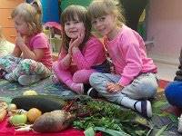 IMG 20160927 103949  Hisilicon Balong