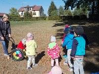 IMG 20160927 112852  Hisilicon Balong