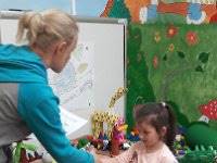 20170511 113329  IICSA���II