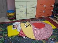 20170224 113209  IICSA���II