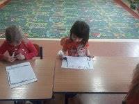 20170301 123956  IICSA���II